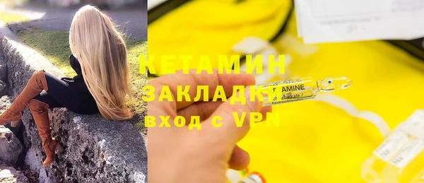 прущие грибы Белокуриха