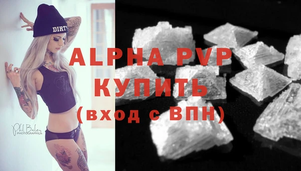 прущие грибы Белокуриха