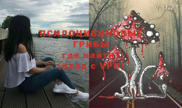 прущие грибы Белокуриха