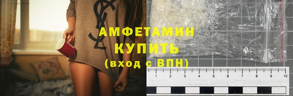 прущие грибы Белокуриха