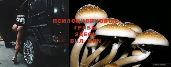 спайс Белоозёрский