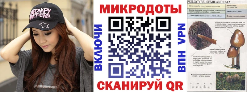 дарнет шоп  Жиздра  Псилоцибиновые грибы Psilocybe 