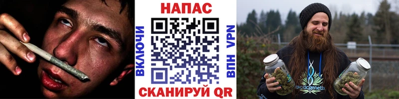 сайты даркнета телеграм Жиздра Бошки марихуана THC 21%